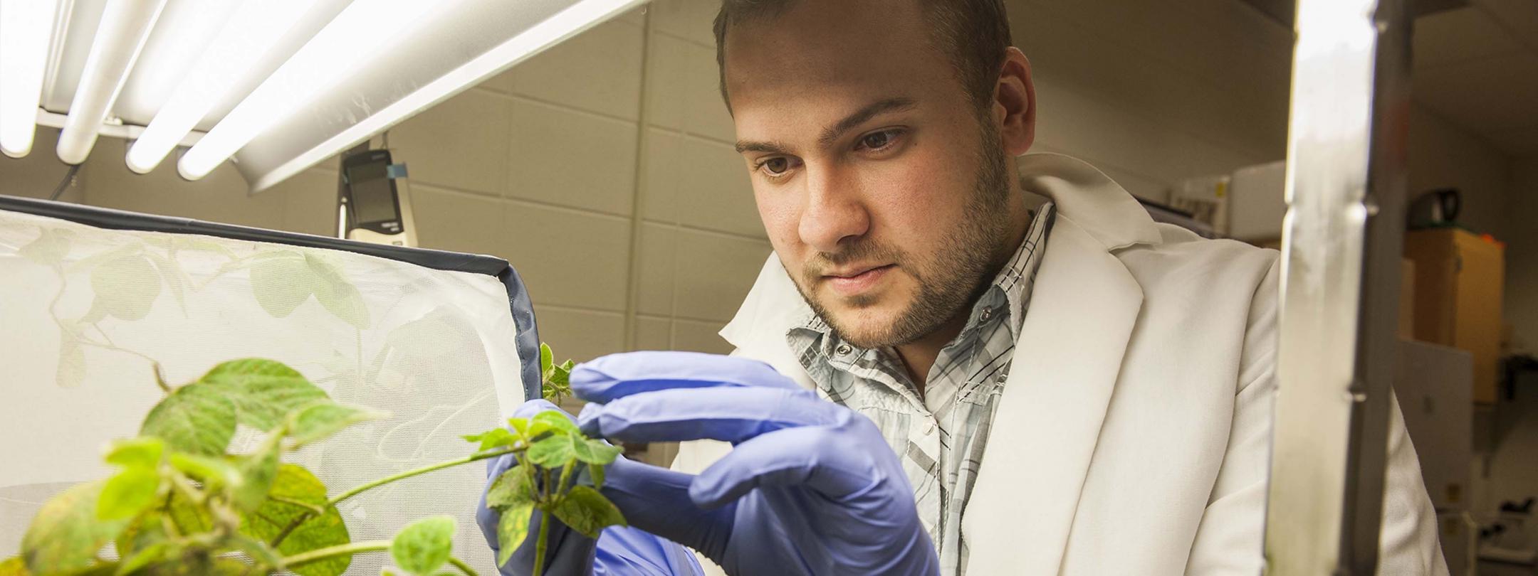 Biology students examining a plant for research.